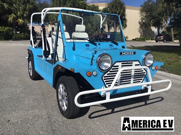 Blue Mokee 4 Passenger Golf Cart affordable golf cart rental, golf cart rent lehigh acres