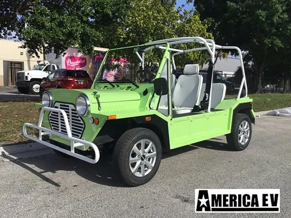 Light Green Mokee 4 Passenger Golf Cart affordable golf cart rental, golf cart rent lehigh acres