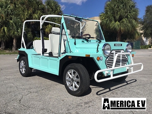 Mint Mokee 4 Passenger Golf Cart affordable golf cart rental, golf cart rent lehigh acres